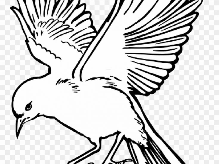 734x548 Line Drawing Canary Bird Cage Sketch Of A Crane Vector Free Tattoo