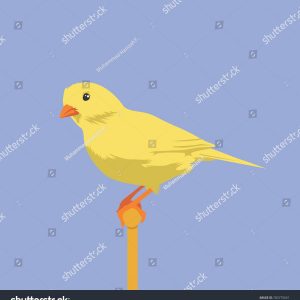 300x300 Unique Canary Color