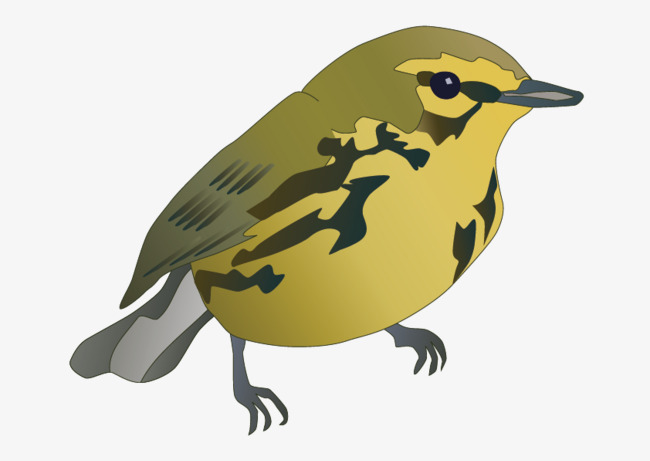 650x461 Vector Birds, Vector, Birds, Yellow Png And Vector For Free Download