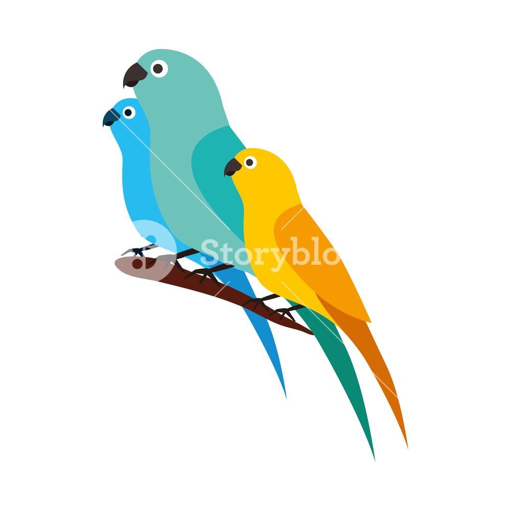 1000x1000 Canary And Parrots Birds On Branch Vector Illustration Royalty