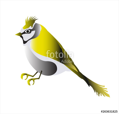 500x479 Canary Bird Vector Stock Image And Royalty Free Vector