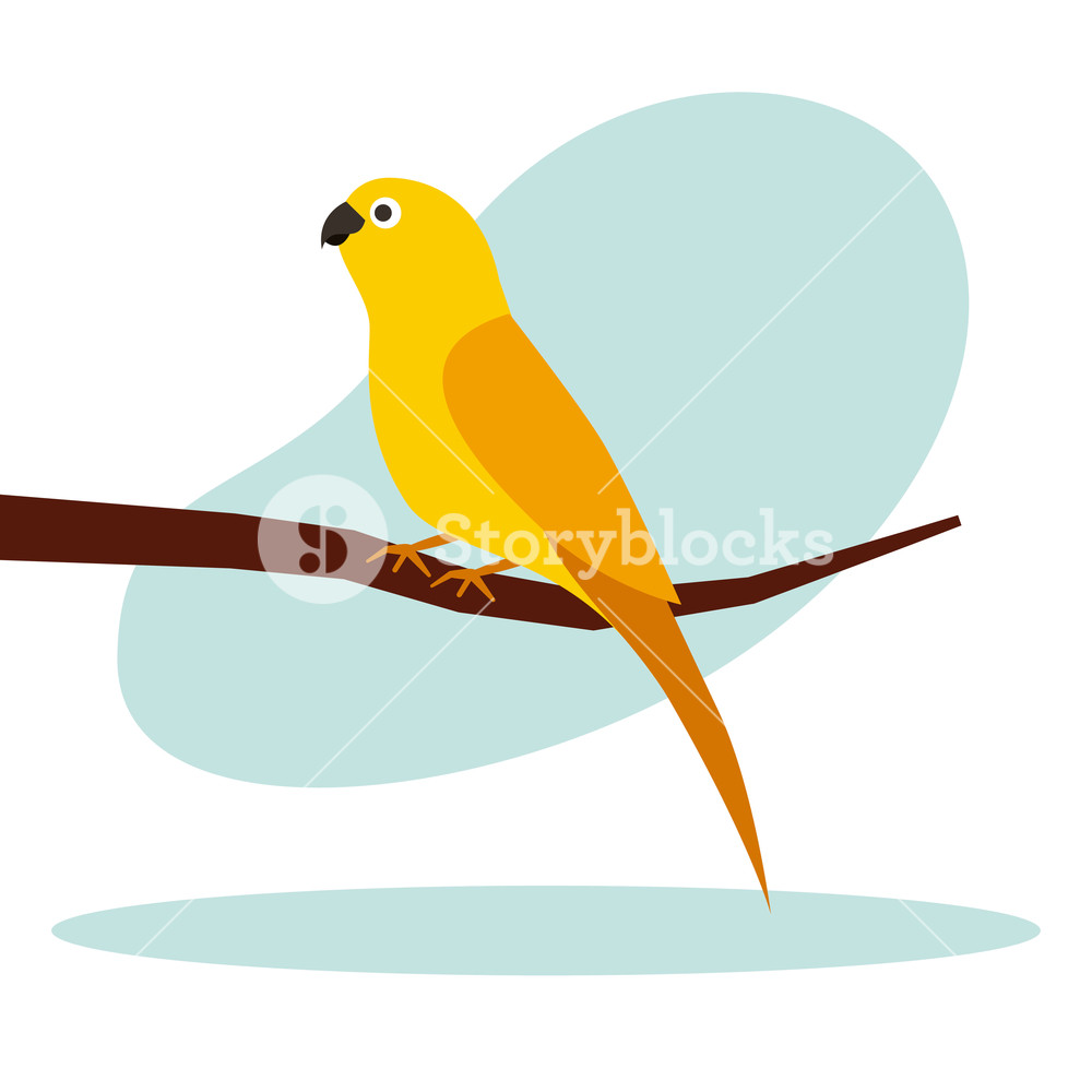 1000x1000 Little Canary Bird On Branch Vector Illustration Royalty Free