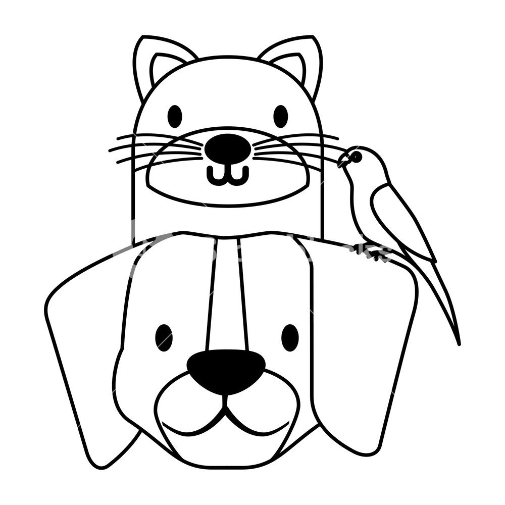 1000x1000 Pets Dog And Cat Canary Bird Vector Illustration Royalty Free
