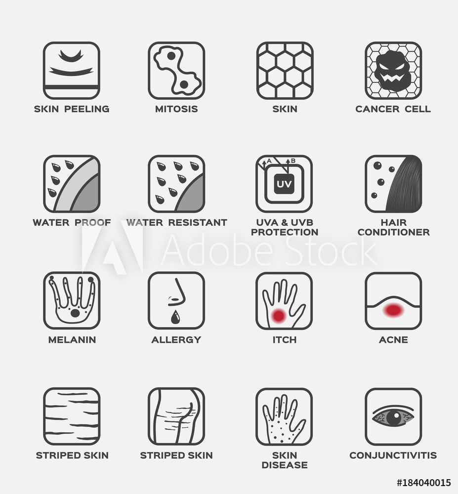 Skn And Vector Set Peeling Mitosis Cancer Cell 927x1000 Skn And Vector Set Peeling Mitosis Cancer Cell