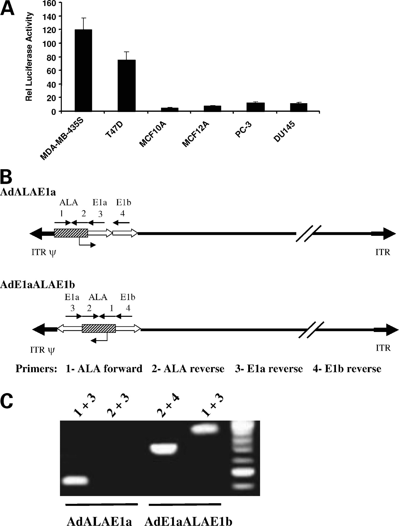 Transcriptional Targeting Modalities In Breast Cancer Gene Therapy 1368x1800 Transcriptional Targeting Modalities In Breast Cancer Gene Therapy