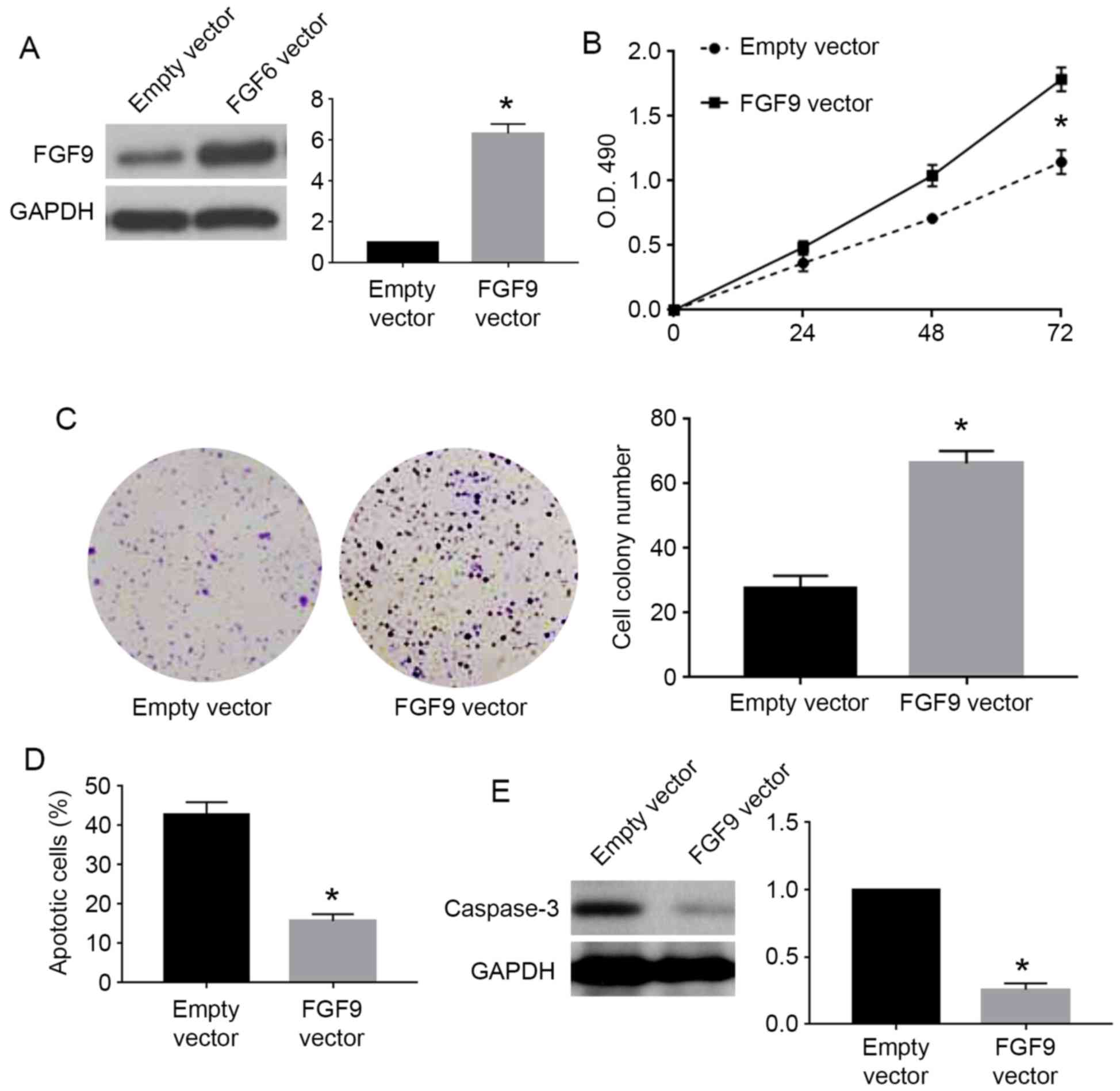 Mir Inhibits The Growth Of Cervical Cancer Cells 1948x1897 Mir Inhibits The Growth Of Cervical Cancer Cells