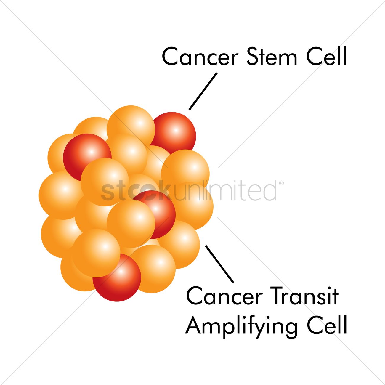 Cancer Cell Vector Image 1300x1300 Cancer Cell Vector Image