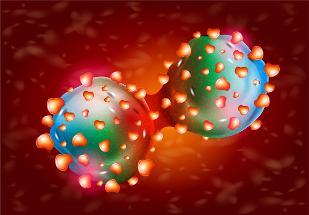 Cancer Cell Division In Blood Flow Vector Premium Download 626x436 Cancer Cell Division In Blood Flow Vector Premium Download