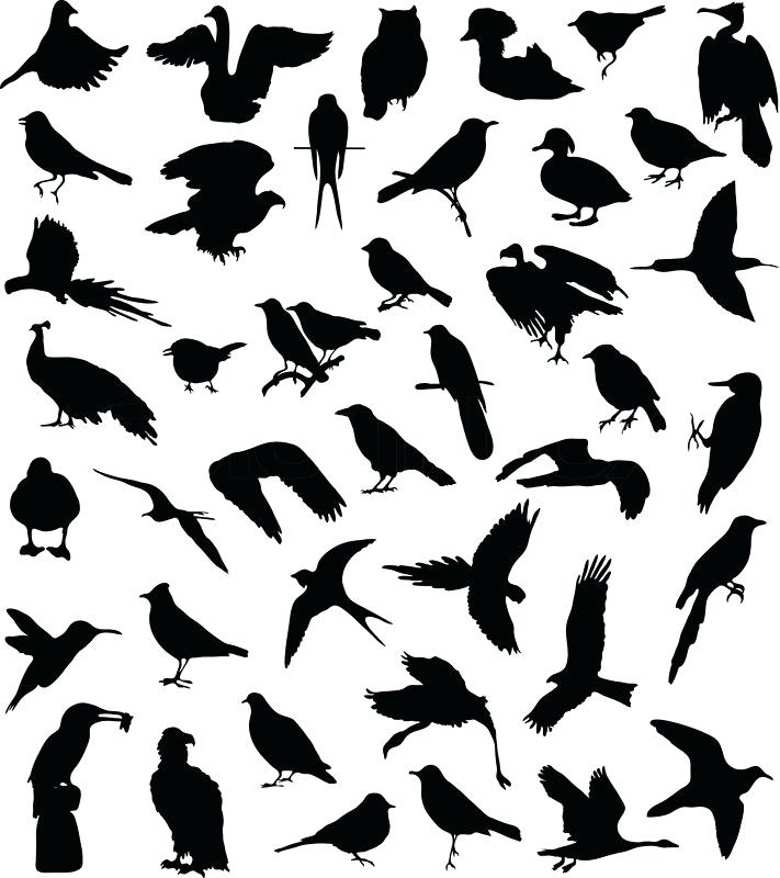 711x800 Sparrow Outline With Small Breast Cancer Awareness Ribbon Navel