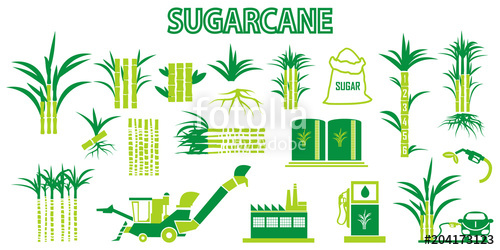 500x250 Sugar Cane Icons Vector Stock Image And Royalty Free Vector