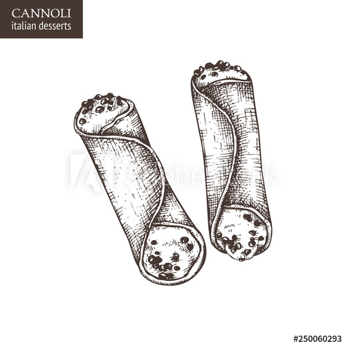 500x500 Hand Drawn Cannoli Illustration On White Background Vector