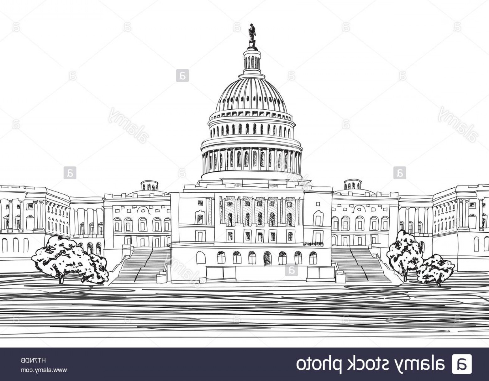 1560x1216 Pencil Drawing Vector Illustrator Catamart