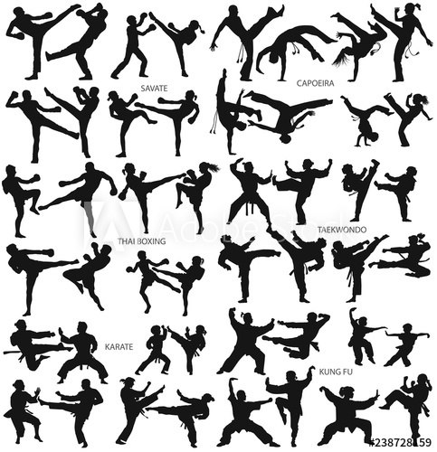 Martial Art Man Woman Children Karate Savate Capoeira Thai Boxing 483x500 Martial Art Man Woman Children Karate Savate Capoeira Thai Boxing