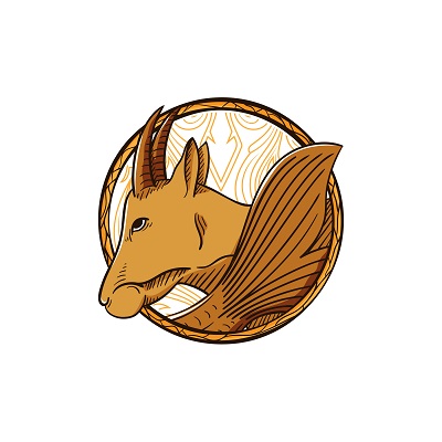 400x400 Zodiac Sign Capricorn Vector Illustration Tee Shirt Design