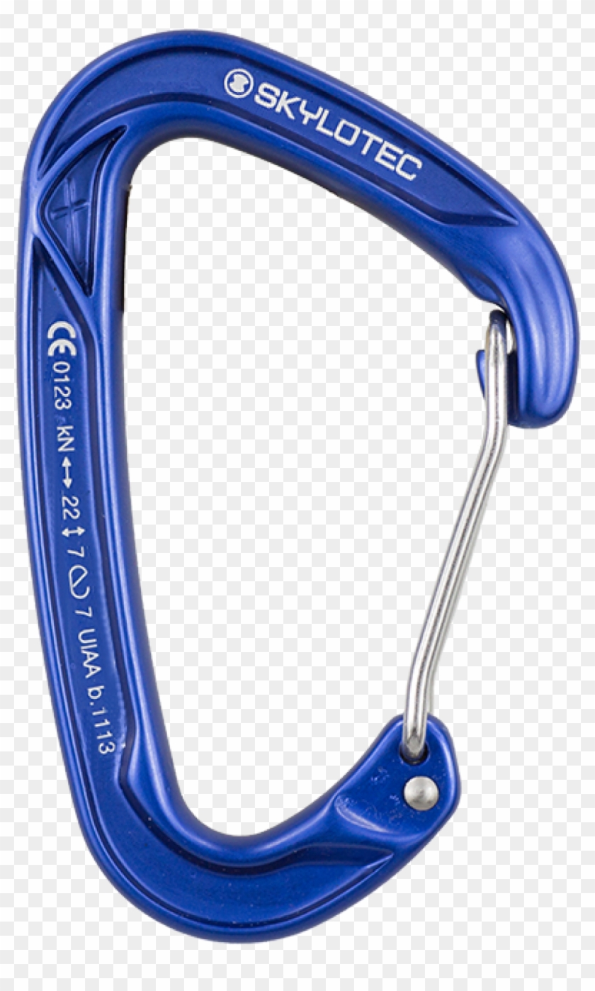 840x1398 Carabiner Vector