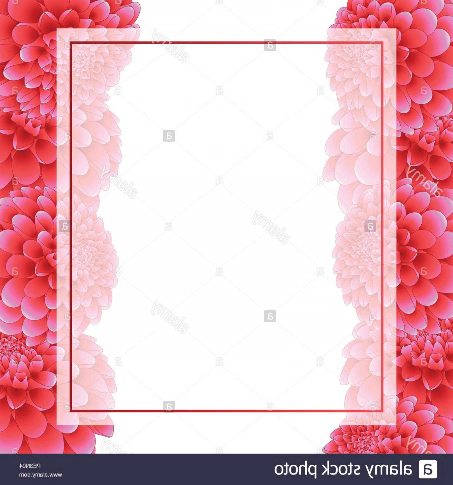 1560x1668 Pink Dahlia Banner Card Border Mexicos National Flower Vector
