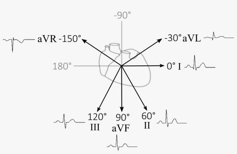 Cardiac Vector Ekg Black And White Download 820x534 Cardiac Vector Ekg Black And White Download