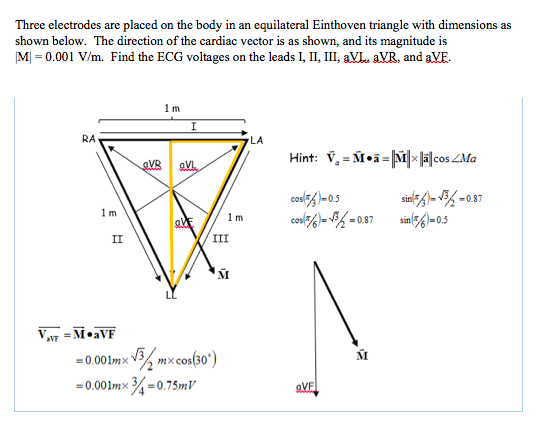 Solved Three Electrodes Are Placed On The Body In An Equi 559x448 Solved Three Electrodes Are Placed On The Body In An Equi