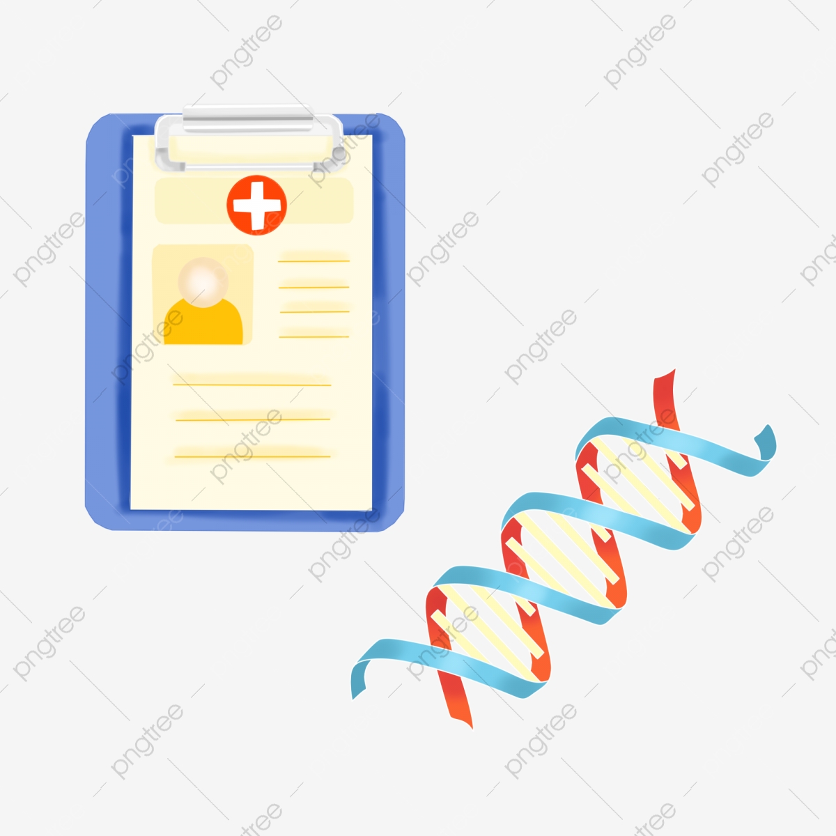 Vector Human Body Medical Medical Anatomy Cardiac Vessels, Vector 1200x1200 Vector Human Body Medical Medical Anatomy Cardiac Vessels, Vector