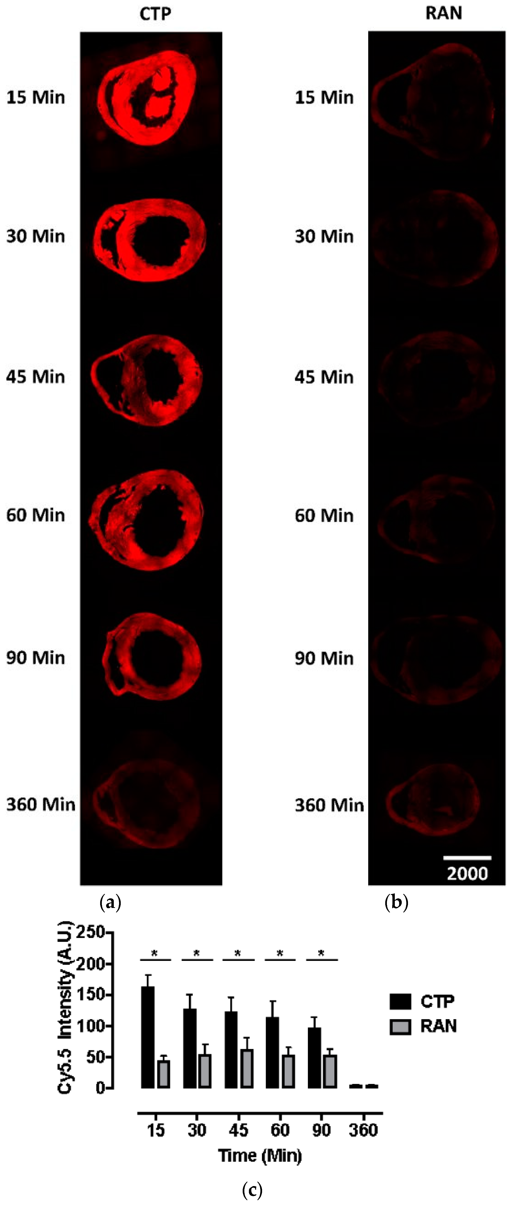 Biomolecules Free Full Text Cardiac Targeting Peptide, A Novel 2133x5030 Biomolecules Free Full Text Cardiac Targeting Peptide, A Novel
