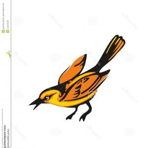 Cardinal Bird Vector