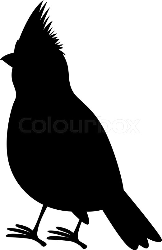 Cardinal Bird Vector at Vectorified.com | Collection of Cardinal Bird ...