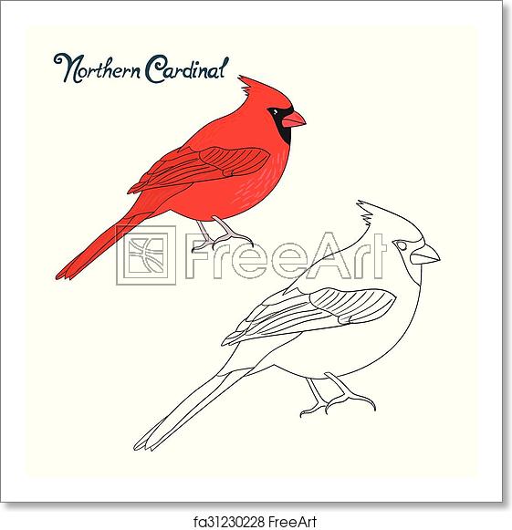 561x581 Free Art Print Of Educational Game Coloring Book Cardinal Bird