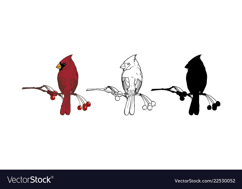 1000x780 Huge Collection Of 'cardinal Bird Silhouette' Download More Than