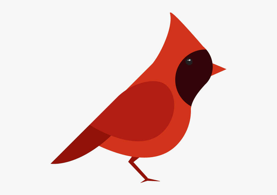 920x649 Bird Vectors Cardinals