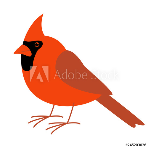 500x500 Cardinal Bird,vector Illustration, Flat Style, Profile
