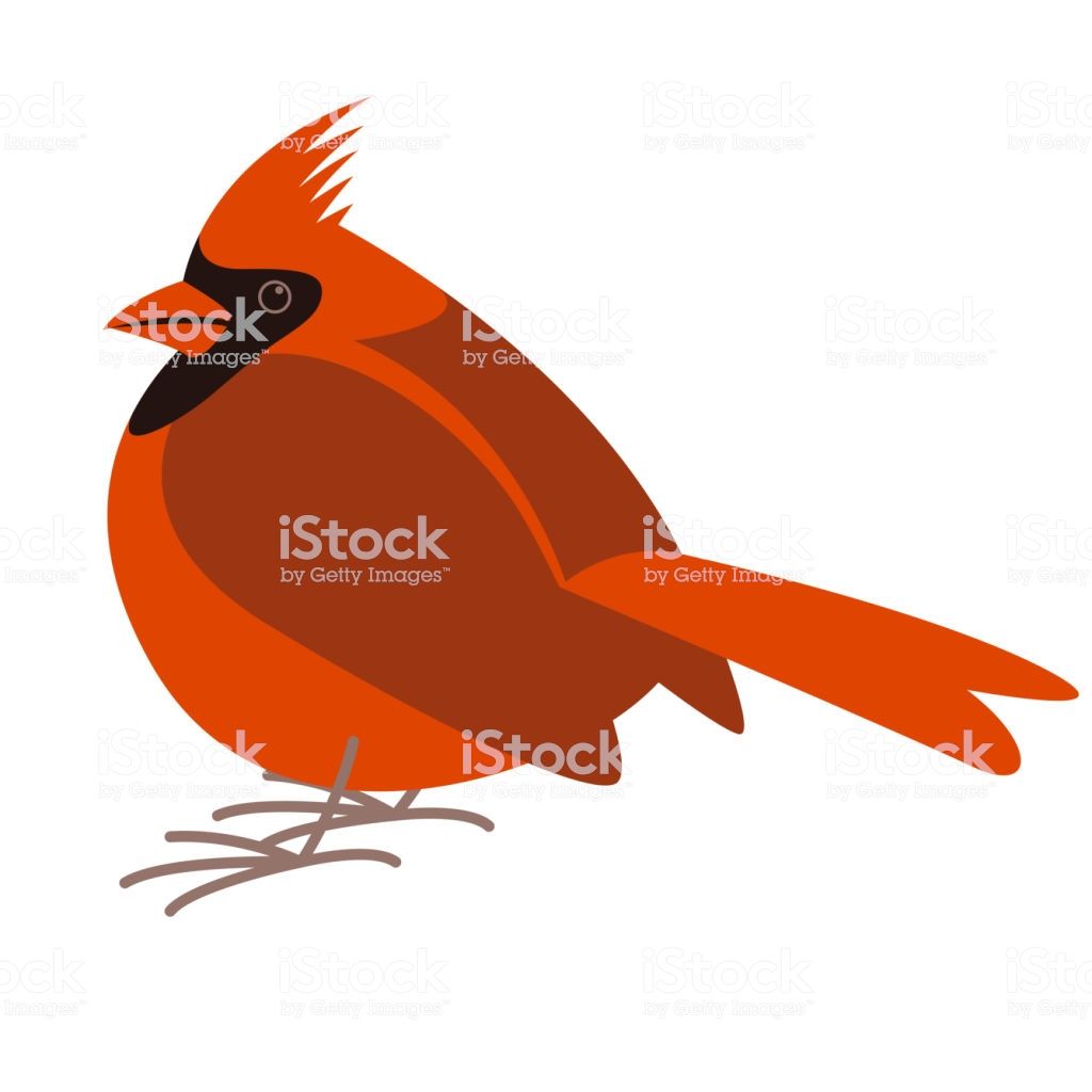 1024x1024 Cardinal Bird,vector Illustration, Flat Style, Profile Side