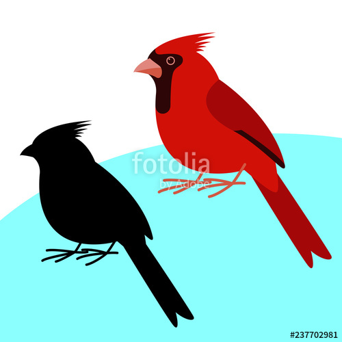 500x500 Cardinal Bird Vector Illustration Flat Style, Black Silhouette
