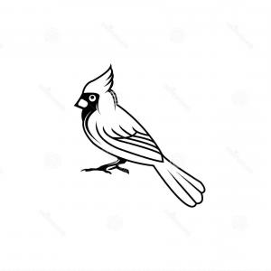 300x300 Cardinal Bird Vector Illustration Black Silhouette Flat Style