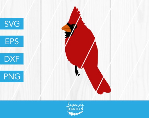 Cardinal Bird Red Cardinal Cardinal Dxf Cardinal 570x455 Cardinal Bird Red Cardinal Cardinal Dxf Cardinal