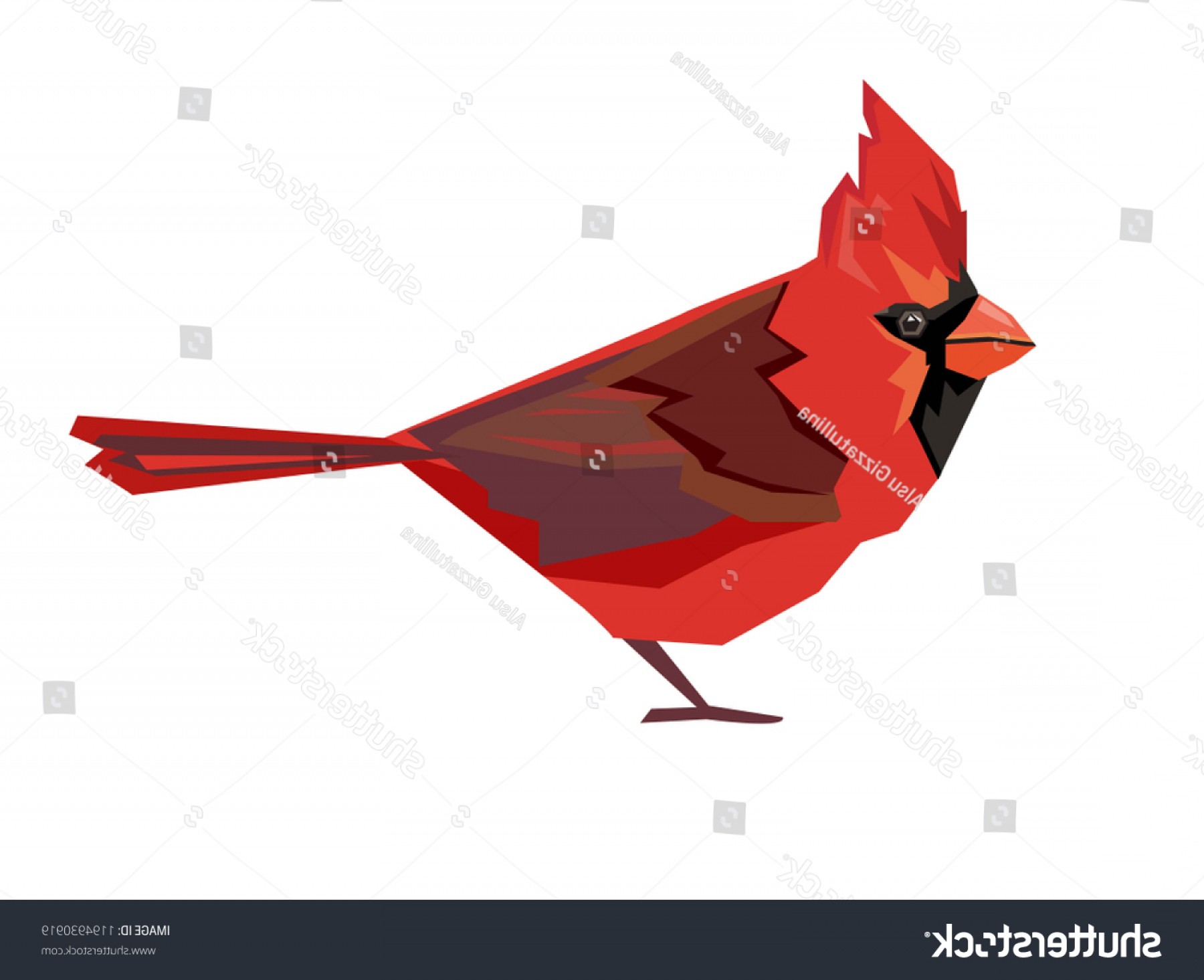 Cardinal Vector Lamaison 1800x1465 Cardinal Vector Lamaison