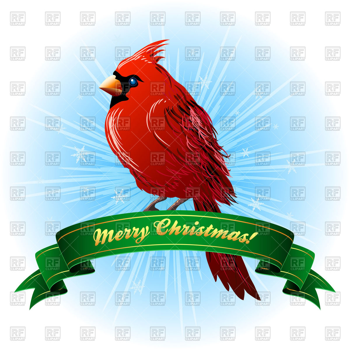 Christmas Card With Northern Cardinal Vector Image Of Plants 1200x1200 Christmas Card With Northern Cardinal Vector Image Of Plants