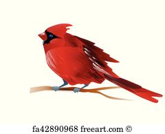 Free Art Print Of Vector Illustration Of Cardinal Vector 240x194 Free Art Print Of Vector Illustration Of Cardinal Vector