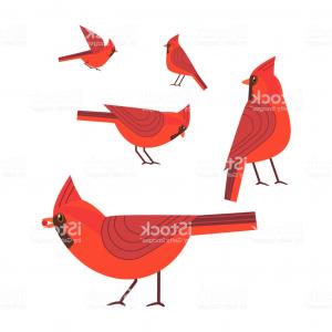 Graduation Vector Emblem Badge Template Image Handandbeak 300x300 Graduation Vector Emblem Badge Template Image Handandbeak