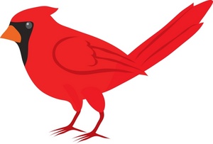 Huge Collection Of 'cardinal Clipart' Download More Than 300x203 Huge Collection Of 'cardinal Clipart' Download More Than
