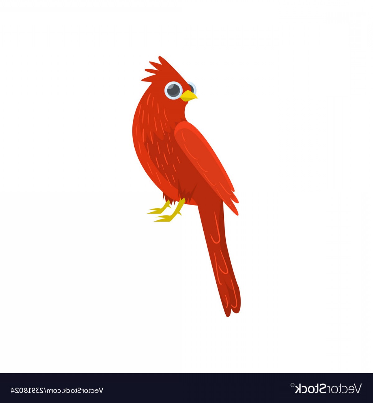 Big Red Sitting Cardinal Bird Isolated On White Vector Wallkeeper 1200x1296 Big Red Sitting Cardinal Bird Isolated On White Vector Wallkeeper
