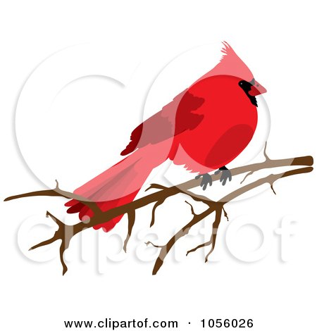 Royalty Free Vector Clip Art Illustration Of A Red Cardinal 450x470 Royalty Free Vector Clip Art Illustration Of A Red Cardinal