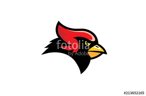 500x330 Cardinal Bird Logo Design Illustration Stock Image And Royalty