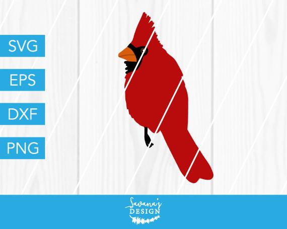 570x455 Cardinal Bird Red Cardinal Cardinal Dxf Cardinal