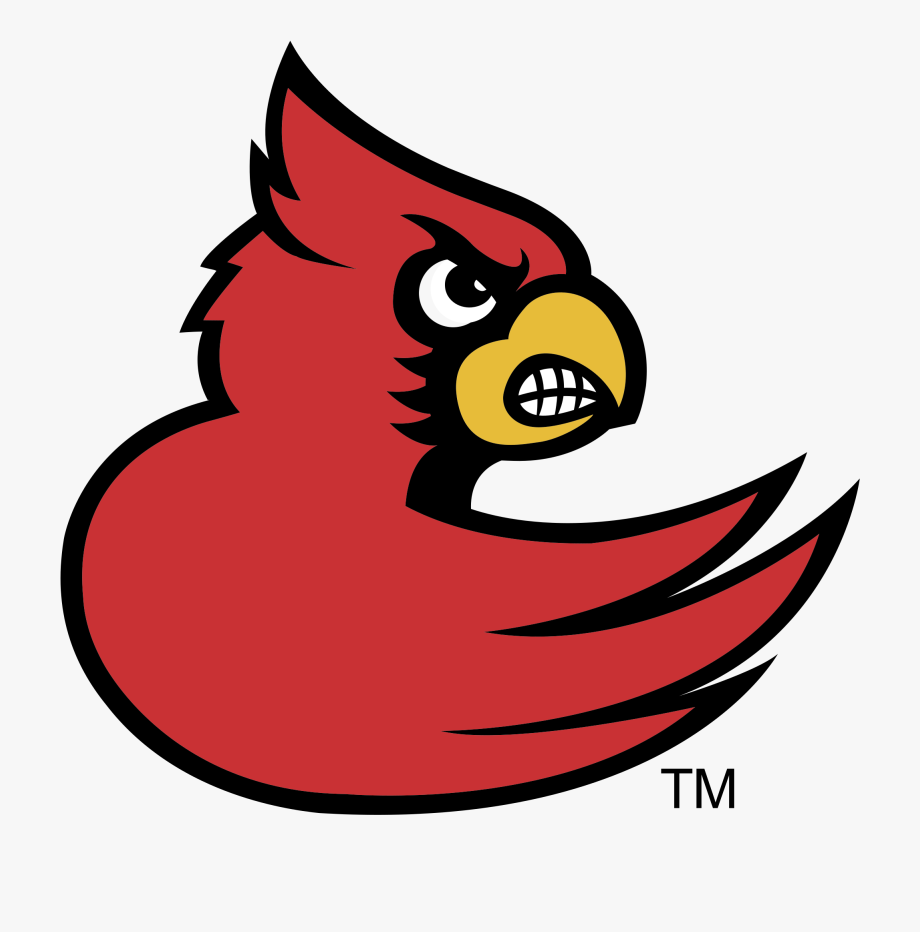 920x932 Cardinal Vector