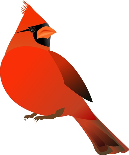 500x600 Red Cardinal Free Vector In Open Office Drawing