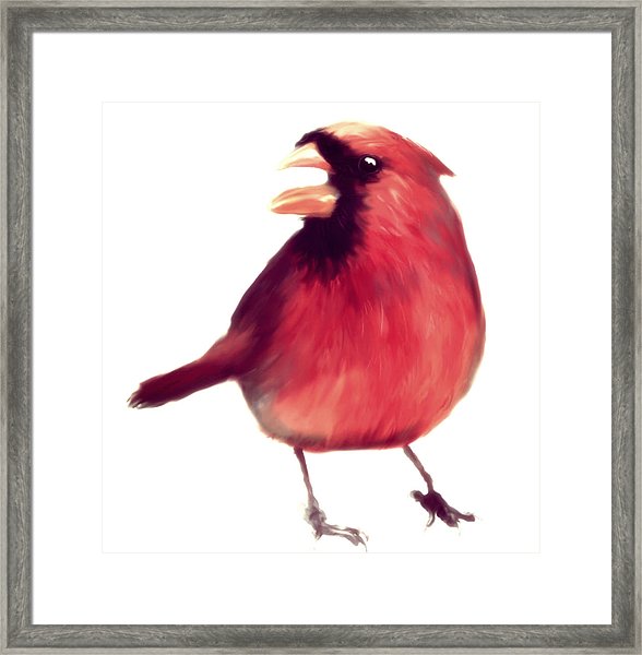 588x600 Vector Cardinal Digital Art