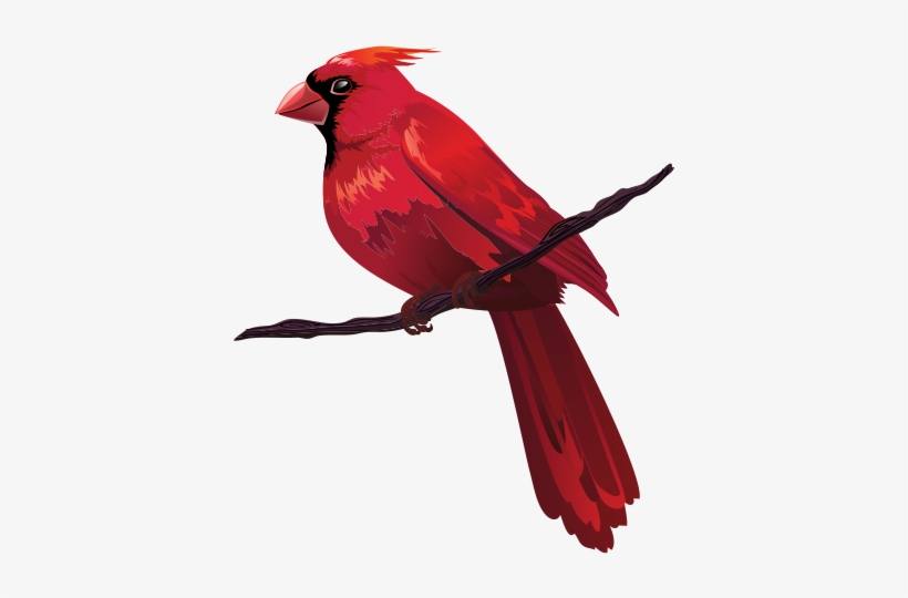 820x540 Bird Euclidean Vector Red Clip Art