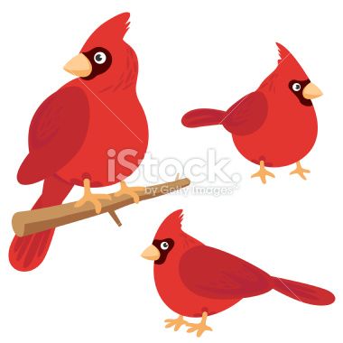 380x380 Bird Set Cardinal Christmas Birds, Illustration, Cardinal Birds