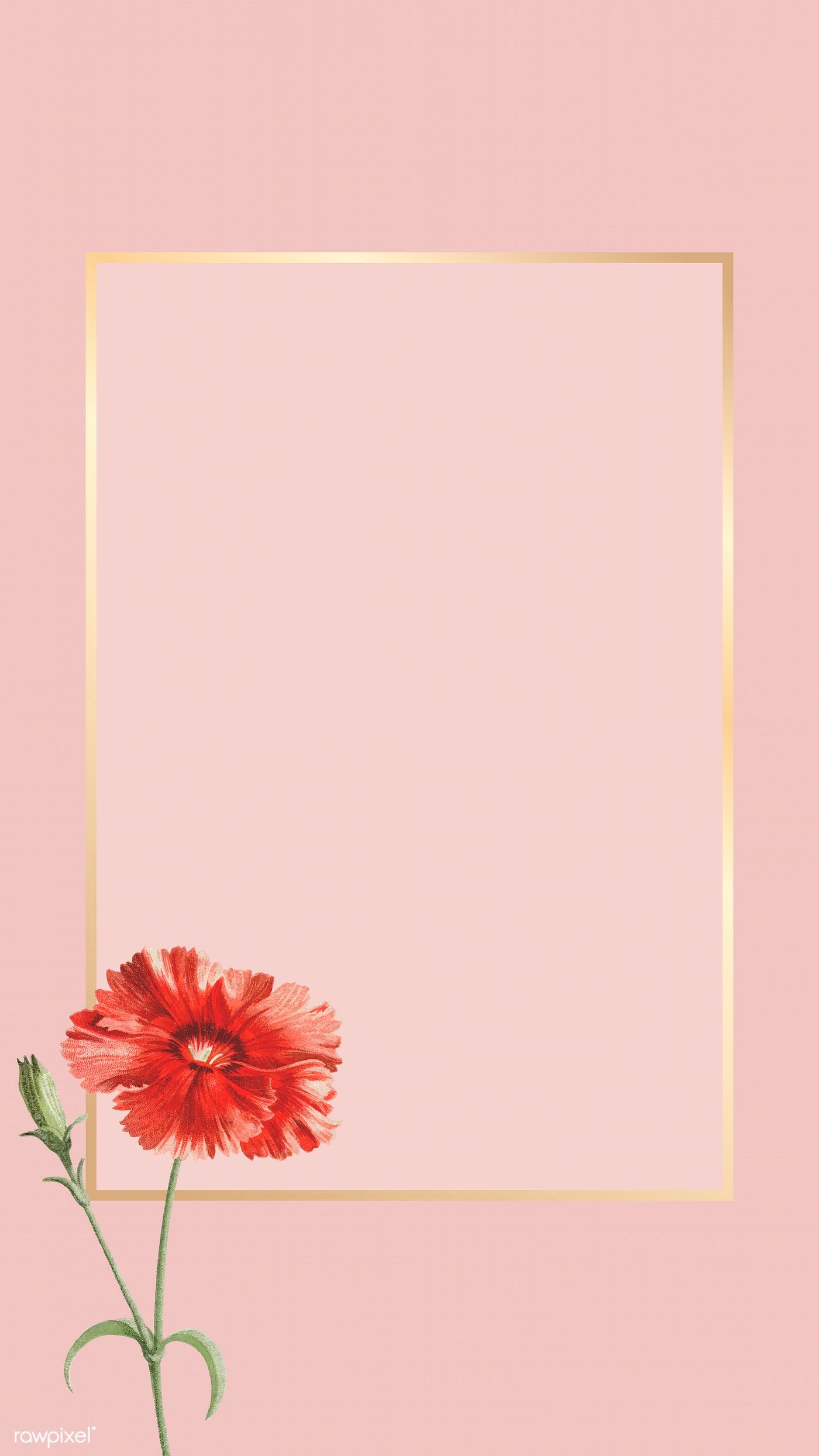 1400x2489 Download Premium Vector Of Orange Carnation Flower Element On Pink