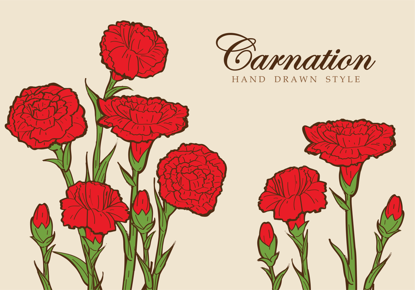 1400x980 Illustration Of Carnation Flower On Cream Background Easter
